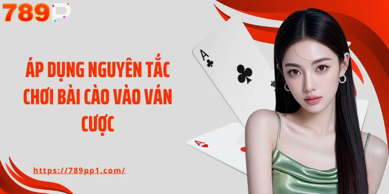 Áp dụng nguyên tắc chơi bài cào vào ván cược