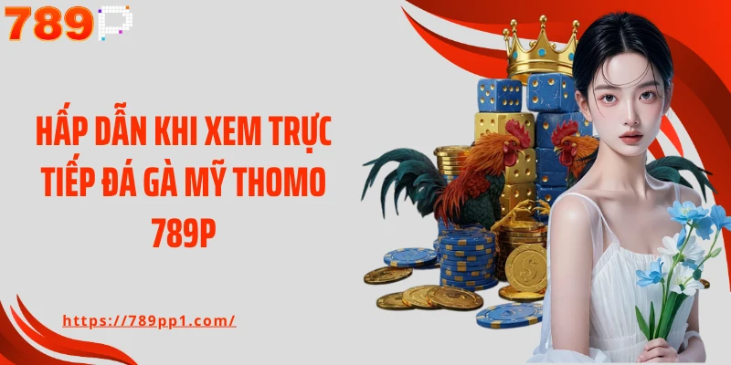 Hấp dẫn khi xem trực tiếp đá gà Mỹ Thomo 789P