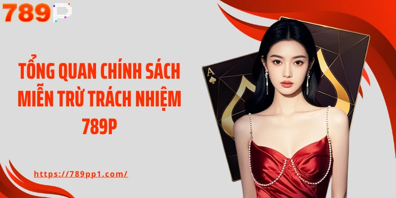 Tổng quan chính sách miễn trừ trách nhiệm 789P